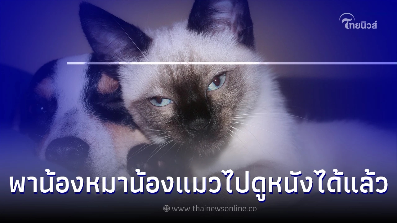 ครั้งแรกในไทยพาน้องหมาน้องแมวไปดูหนังได้แล้ว