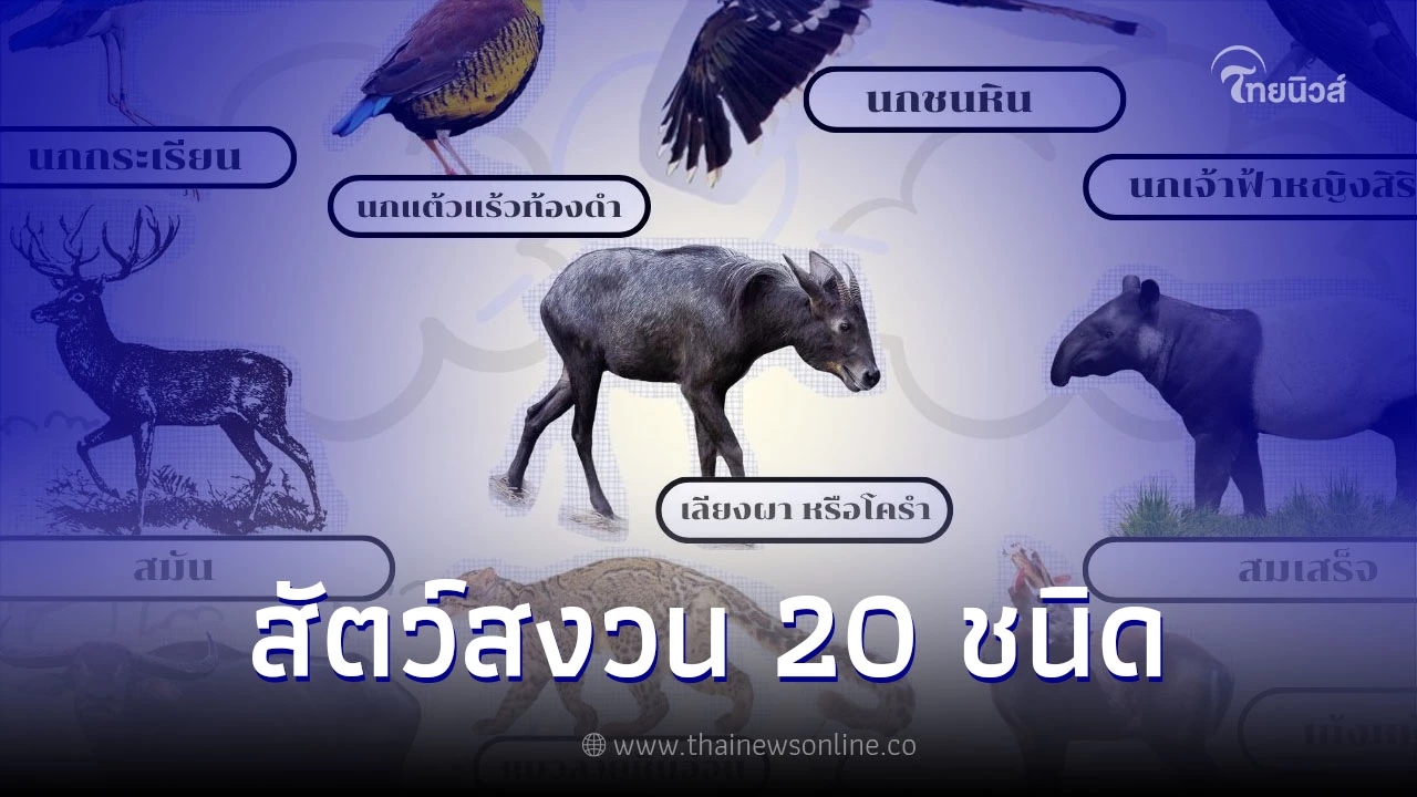 สัตว์สงวน 20 ชนิดของประเทศไทยมีอะไรบ้าง